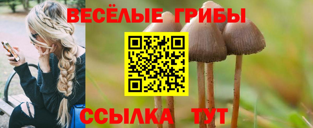 Галлюциногенные грибы Psilocybine cubensis  Вход с VPN  Ярцево 